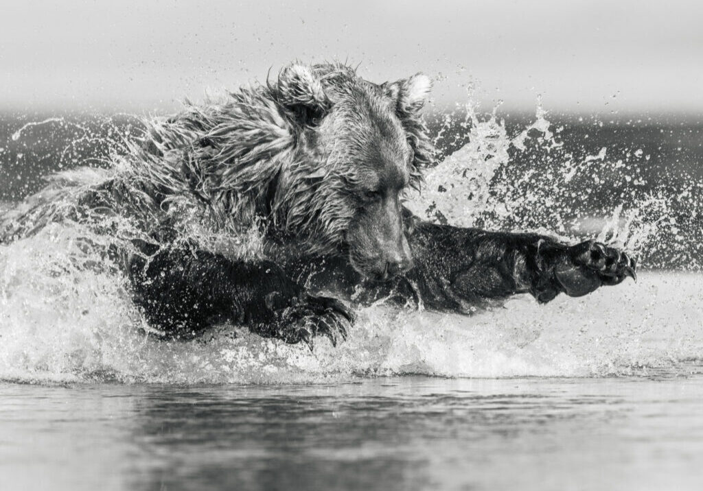 Canon R5